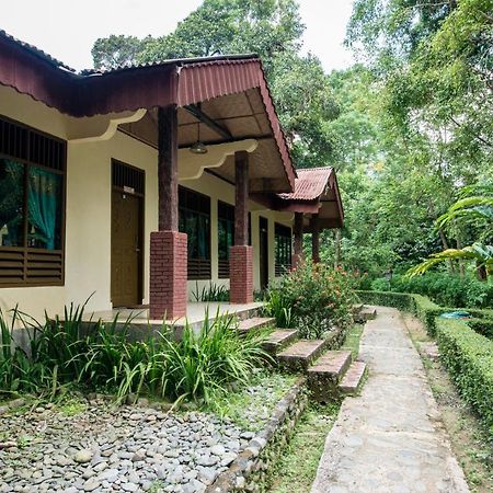 Ecolodge Bukit Lawang Exteriör bild