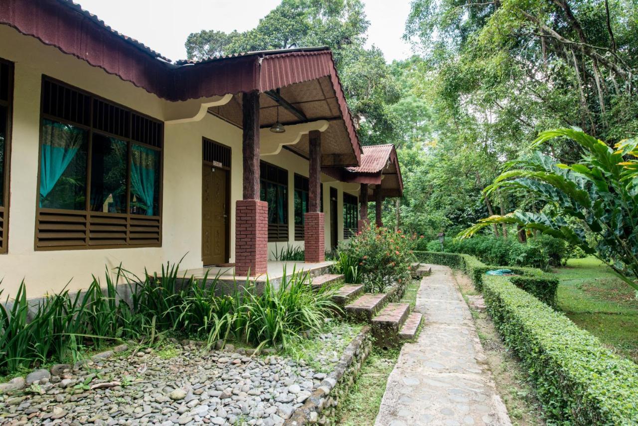 Ecolodge Bukit Lawang Exteriör bild