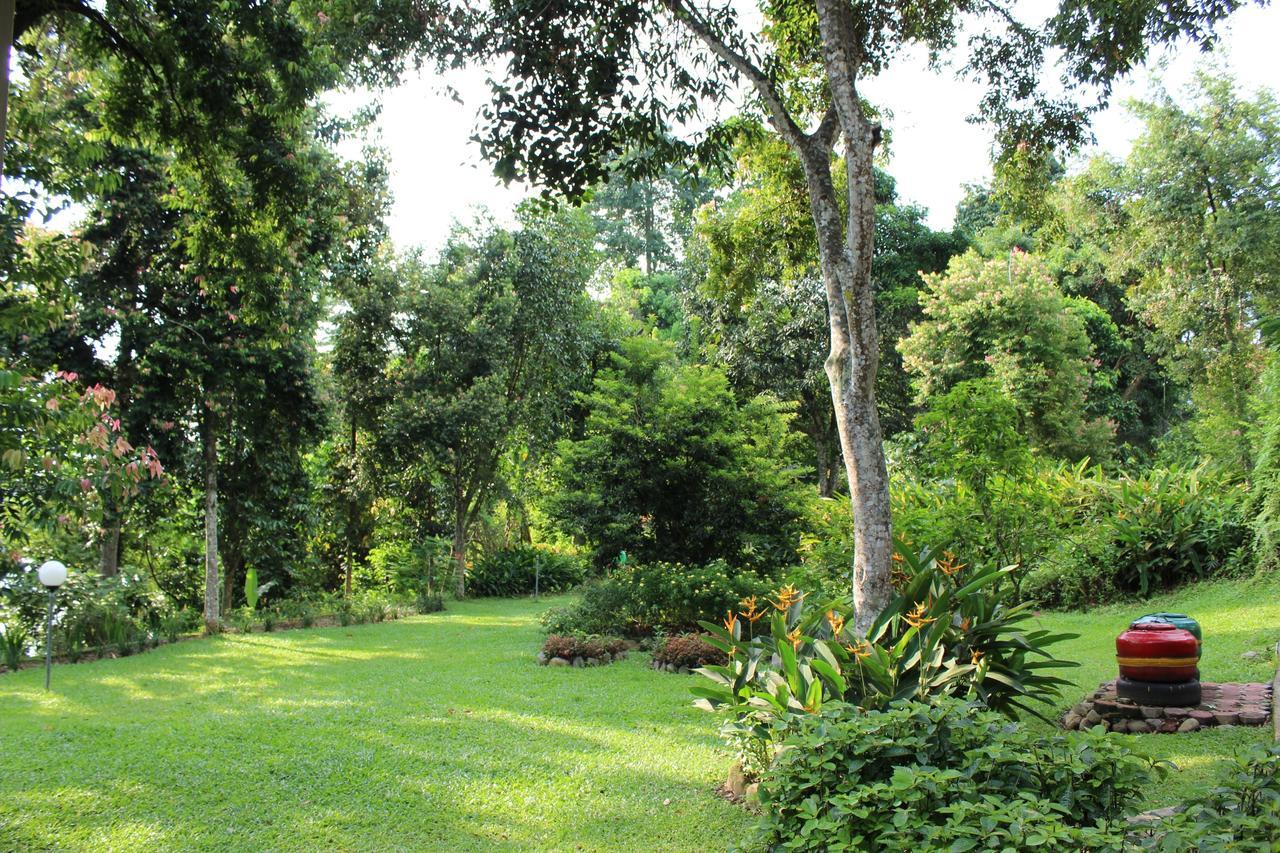 Ecolodge Bukit Lawang Exteriör bild