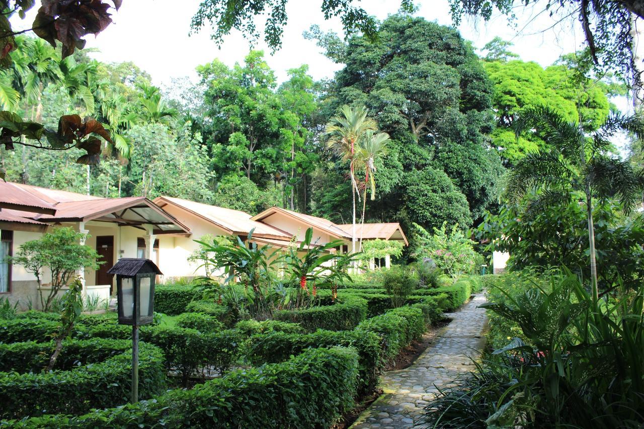 Ecolodge Bukit Lawang Exteriör bild